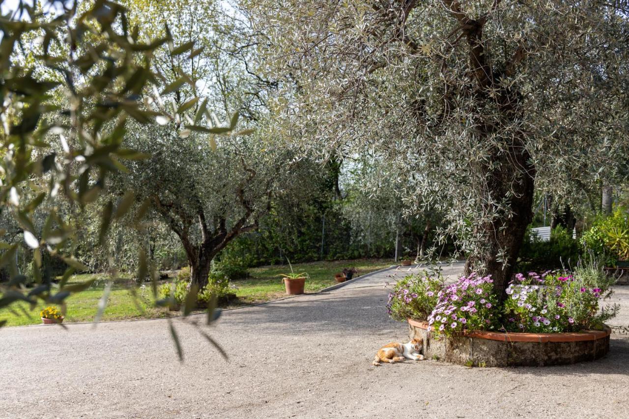 La Tana Delle Stelle B&B Di Charme E Relax Fara in Sabina Dış mekan fotoğraf