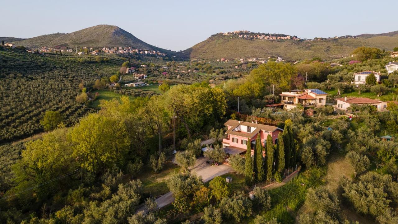 La Tana Delle Stelle B&B Di Charme E Relax Fara in Sabina Dış mekan fotoğraf