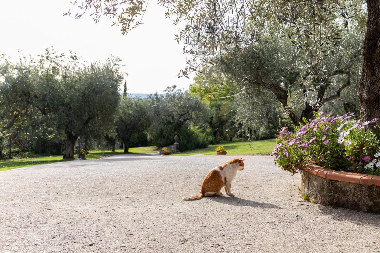 La Tana Delle Stelle B&B Di Charme E Relax Fara in Sabina Dış mekan fotoğraf
