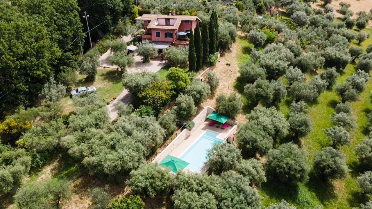 La Tana Delle Stelle B&B Di Charme E Relax Fara in Sabina Dış mekan fotoğraf
