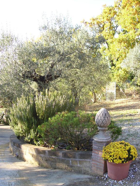 La Tana Delle Stelle B&B Di Charme E Relax Fara in Sabina Dış mekan fotoğraf